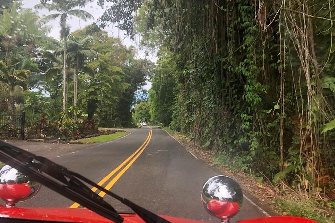 Big Island Buggy Rental on the Big Island, Hawaii - Beach Gear That Makes the Day Easier