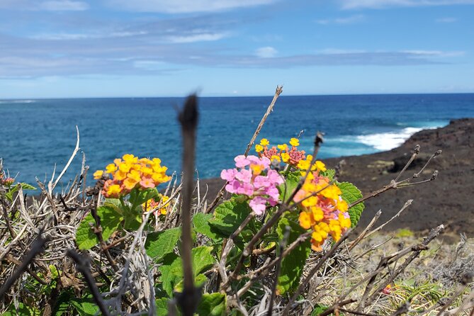 Big Island Southside ATV Tour - Lava tubes, history, and the first rough miles