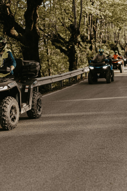 Bled: Full-Day Quad Rental - Why a quad makes sense around Bled