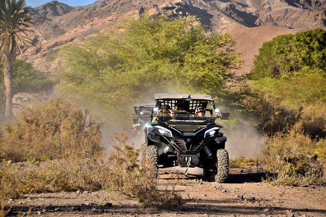 Boa Vista 2h Buggy Death Valley Adventure 1000cc - The oasis stop, with realistic expectations