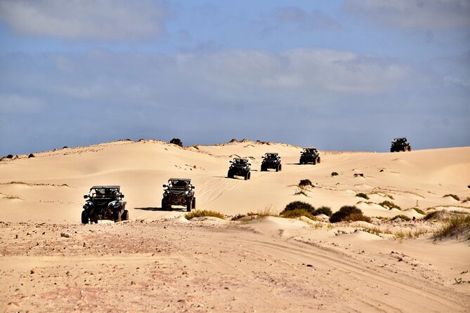 Boa Vista 4h South Buggy Adventure 1000cc - Starting in Sal Rei at 9:00 a.m.