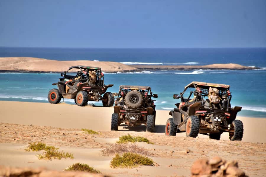 Boa Vista Buggy Tour: Santa Monica & South Desert (4-Hour) - Key points before you book
