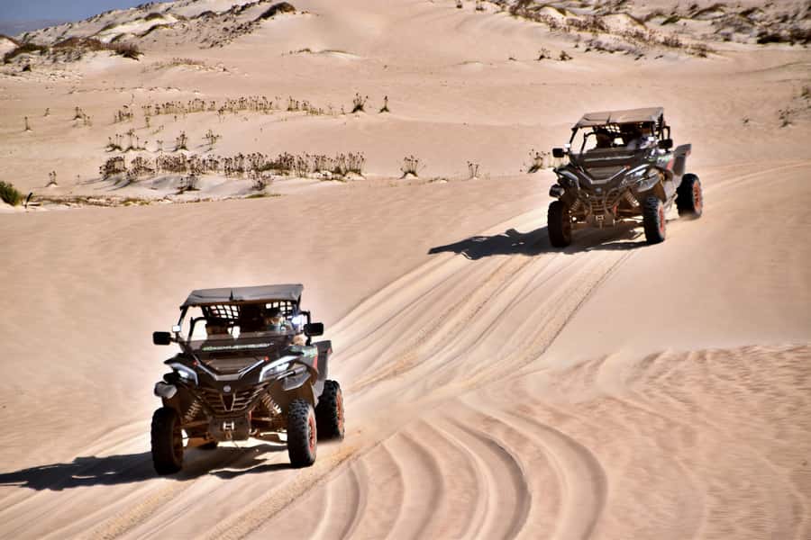 Boa Vista Buggy Tour: Santa Monica & South Desert (4-Hour) - Praia de Chaves and the old pottery chimney