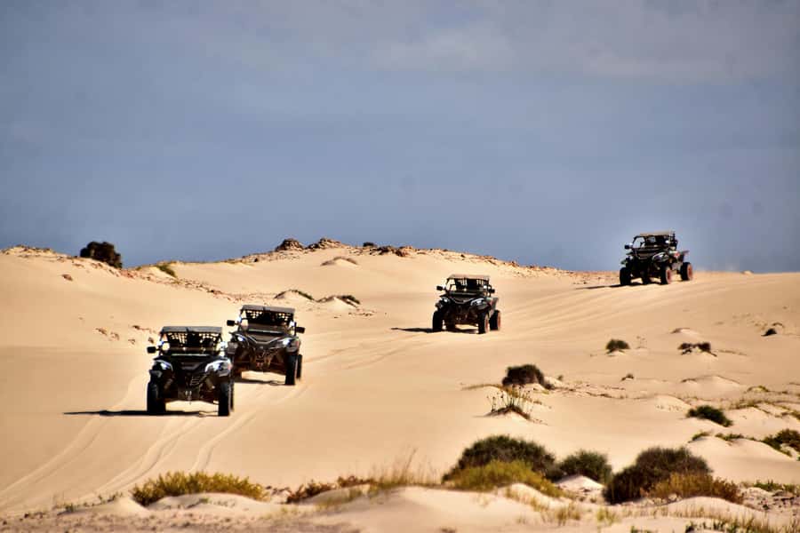Boa Vista Buggy Tour: Santa Monica & South Desert (4-Hour) - Boca Beach and the included refreshment