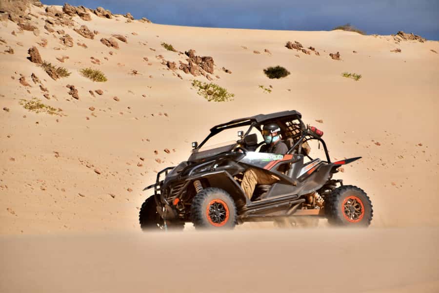Boa Vista Buggy Tour: Santa Monica & South Desert (4-Hour) - What the $293 price really gives you