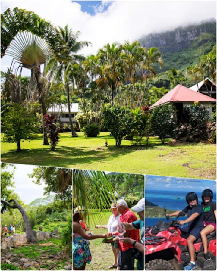 Bora Bora Adventures ATV / QUADS Tours - Who should book this ATV tour?