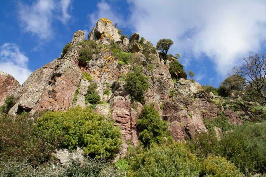Bosa: Coast and Country Guided Quad Bike Tour - Key things to know before you book