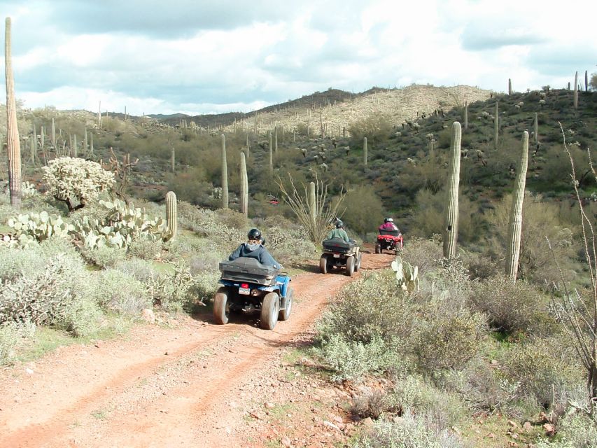 Box Canyon and Pinal Mountains Half-Day ATV Tour - A half-day ride between Phoenix and Tucson