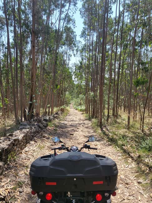 Braga: Quad bike ride, experience the adventure in Braga with Quad Paradise! - What the Ratings Suggest About the Experience
