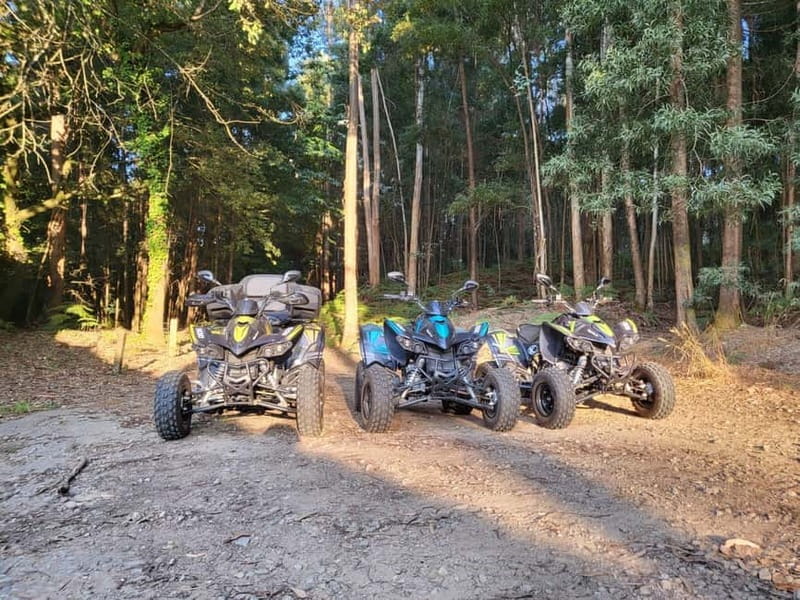 Braga: Quad bike ride, experience the adventure in Braga with Quad Paradise! - Final Verdict: A Short Ride With Real Variety