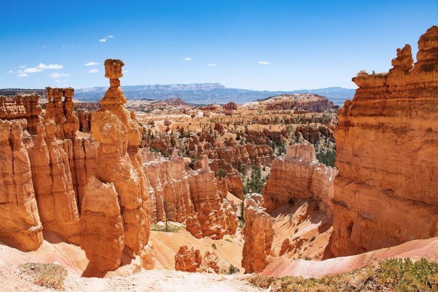 Bryce Canyon City Guided ATV/RZR Tour - Through Ponderosa pine forest and open backcountry