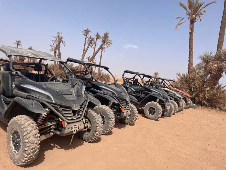 Buggy 1000 cc Adventure in Marrakech Desert - What the feedback tells you about consistency