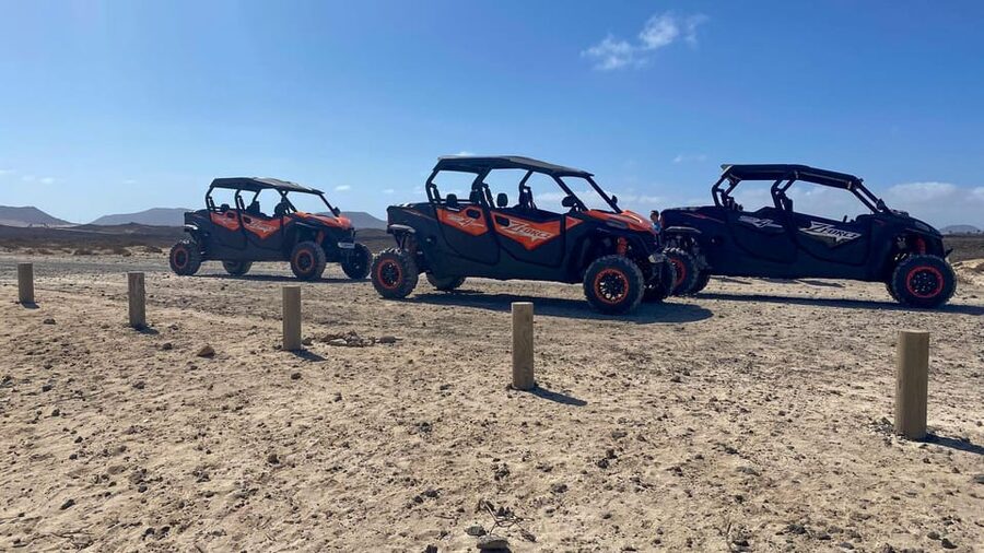 Buggy 4 pazas Corralejo Fuerteventura - Who will enjoy this most?