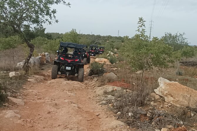 Buggy Adventure - 1.5 Hours Off-Road Guided Tour from Albufeira - Safety, driving rules, and what to bring