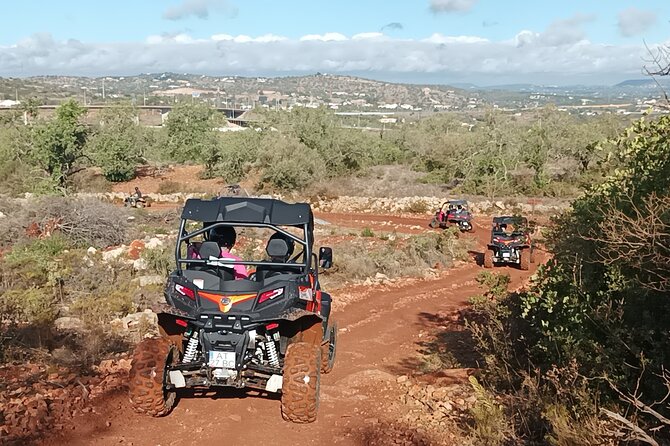 Buggy Adventure - 1.5 Hours Off-Road Guided Tour from Albufeira - Who will enjoy this most?