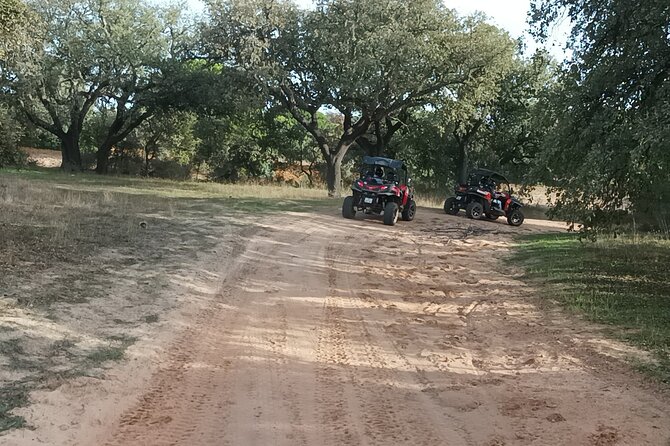 Buggy Adventure - 1.5 Hours Off-Road Guided Tour from Albufeira - Booking, cancellation, and weather details