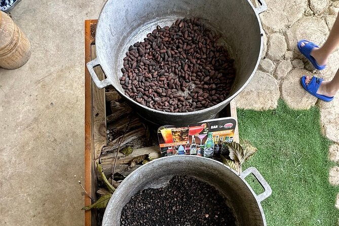 Buggy Adventure Tour with Chocolate and Coffee in Punta Cana - Key points to know before you go