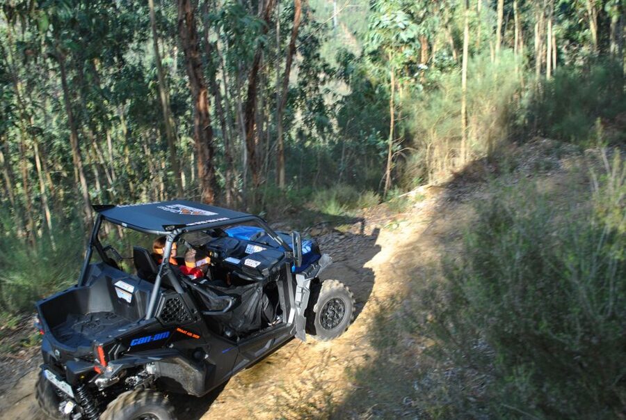Buggy Experiences - Key points before you book