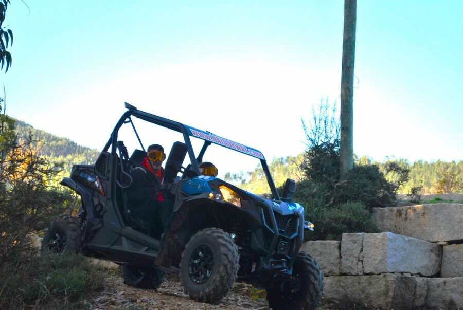 Buggy Experiences - Is the $76 price good value?