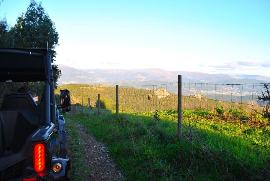 Buggy Experiences - The Santo Adrião Swing and panoramic views