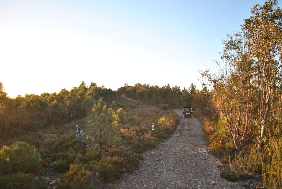 Buggy Experiences - What the guide adds to the ride