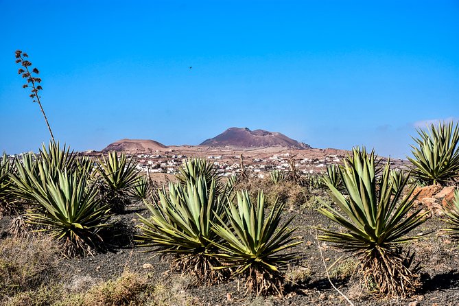 Buggy Fuerteventura Off-Road Excursions - Guides, safety, and the feel of the group
