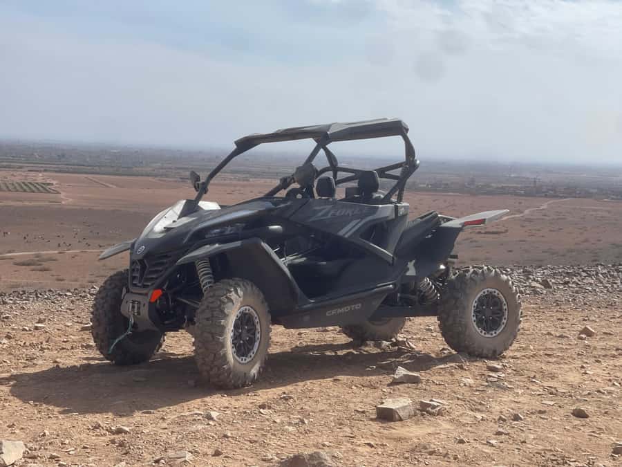 Buggy Marrakech Desert and Palmerie - Quick facts that matter before booking