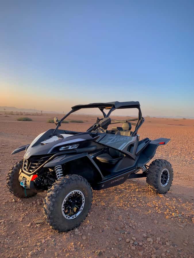 Buggy Marrakech Desert and Palmerie - Two hours of rough tracks and open views