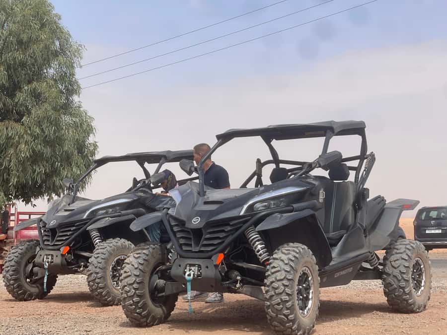 Buggy Marrakech Desert and Palmerie - Safety, comfort, and the dust factor
