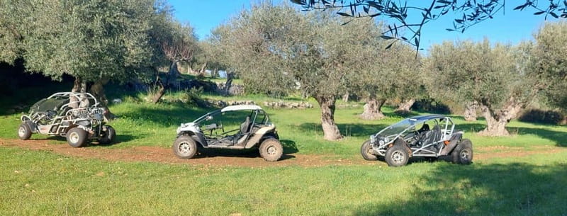 Buggy/Quad excursions in Puglia with 4-seater buggies available on request. - The details that matter most