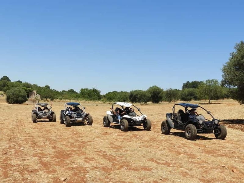 Buggy/Quad excursions in Puglia with 4-seater buggies available on request. - Learning to drive the two-seater buggy