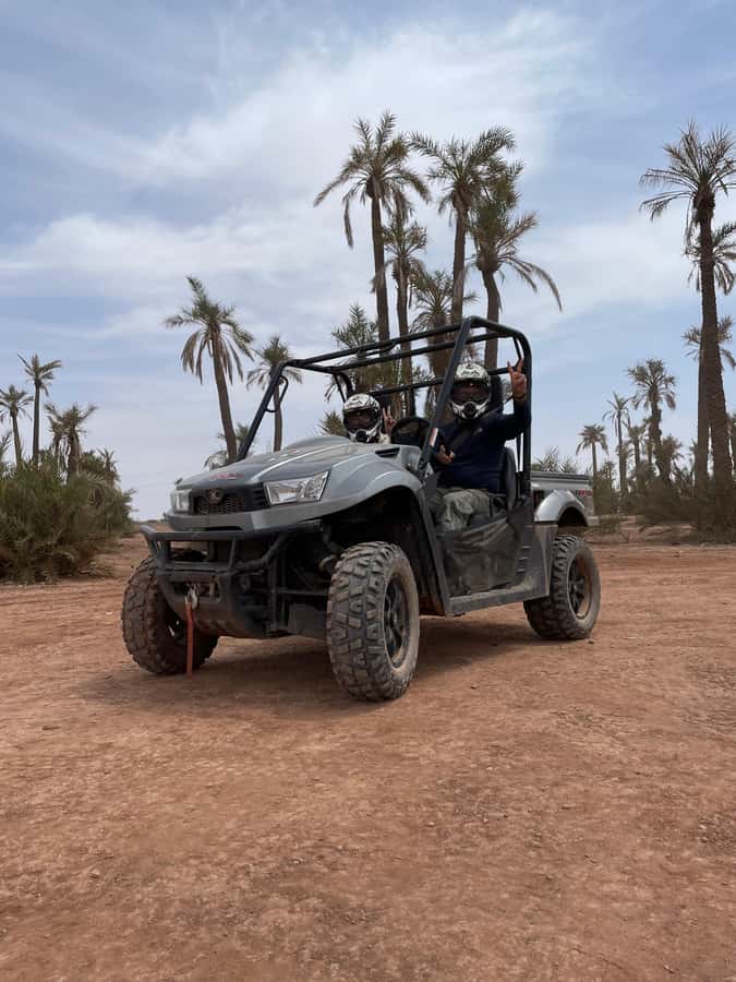 Buggy ride at the Palm Grove and Desert with swimming pool - The Palm Grove photo stop