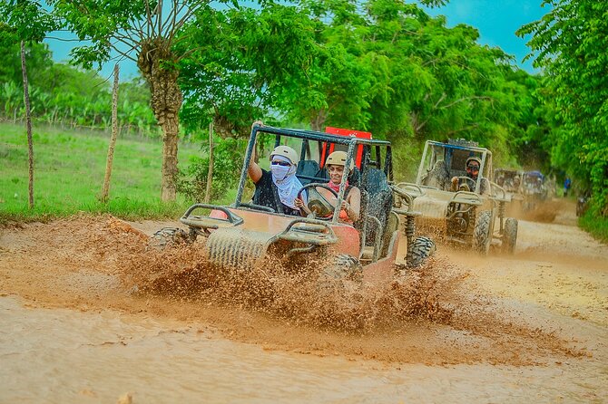 Buggy Ride Into the jungle with cave coffee & chocolate tasting - The coffee, chocolate, tobacco, and farm presentation