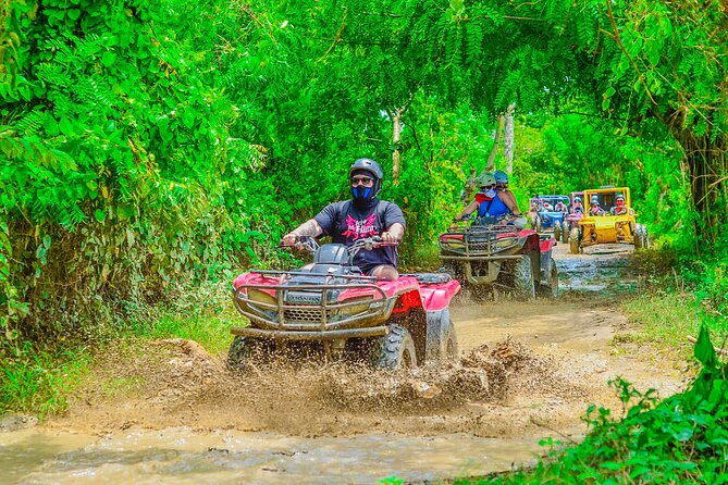 Buggy Ride Into the jungle with cave coffee & chocolate tasting - Macao Beach, the scenic payoff