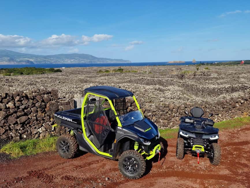 Buggy ride through the vineyards of Pico Island - Key points before you book