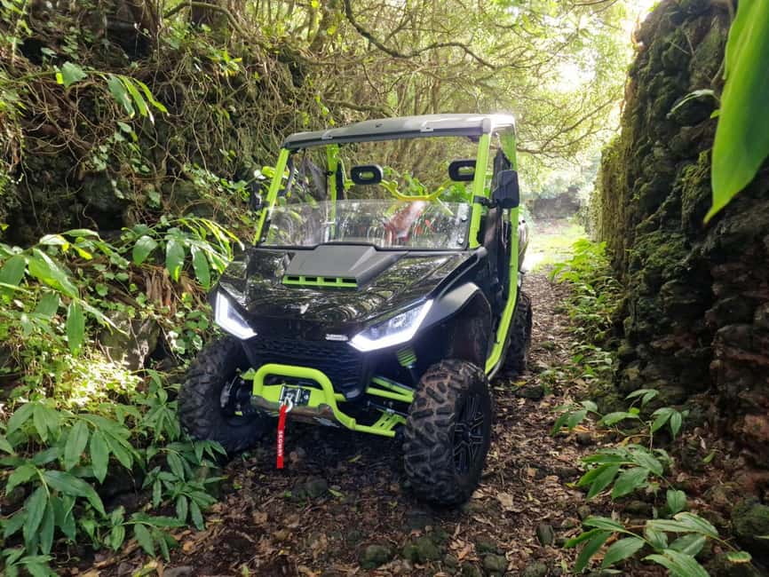 Buggy ride through the vineyards of Pico Island - Pico’s stone-walled vineyard country
