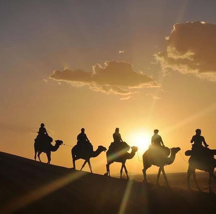 Buggy ride with camels and dinner show in agafay desert - A short camel ride timed for sunset
