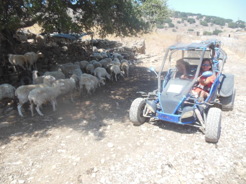 Buggy safari Crete (Transfer and lunch) analipsi- hersonisos - Vrahasi and the optional local museum