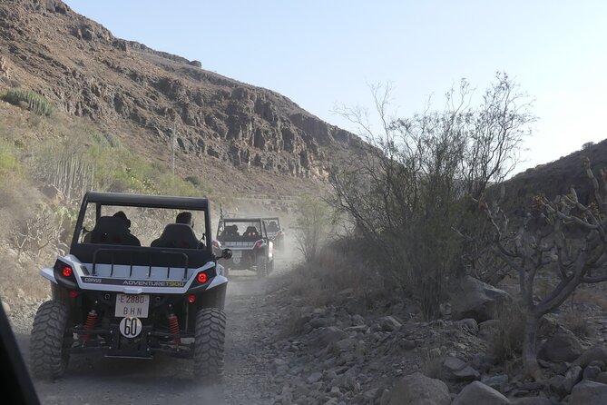 Buggy Tour Gran Canaria - Reservoir views, palms, and prickly pears