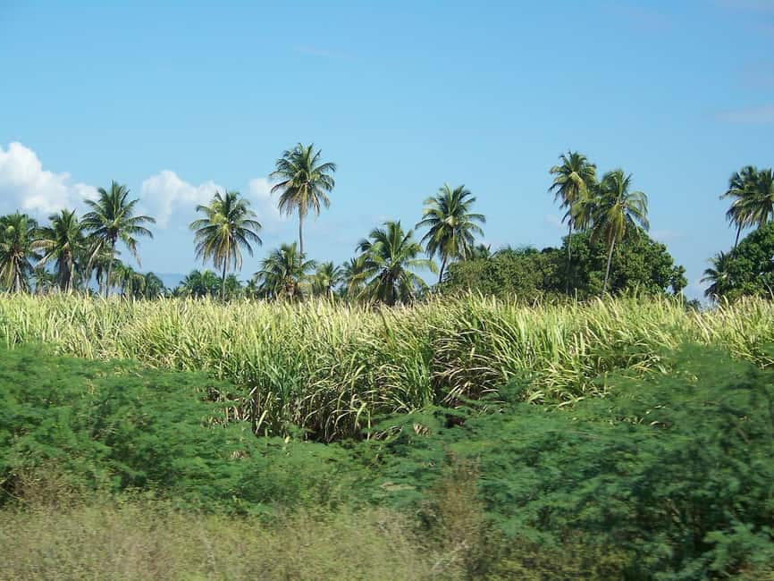 Cabarete: 2-Person Dominican Countryside Buggy Tour - Learning to handle a two-person buggy
