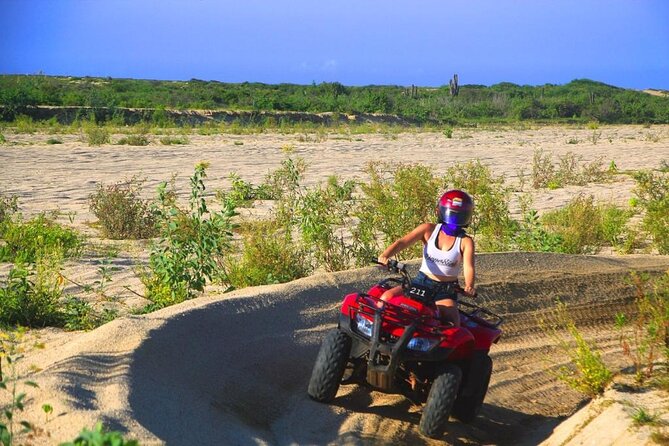 Cabo ATV and Camel Ride Combo Migriño Adventure - Meeting the camels at the sanctuary