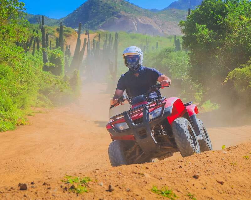 Cabo: Beach & Desert Single ATV Tour with Tequila Tasting - Desert tracks, wildlife, and wide-open views