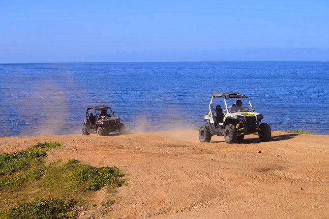 Cabo Migrino Beach & Desert Tour (Single UTV) - The ride itself: desert tracks, mountain routes, and beach turns