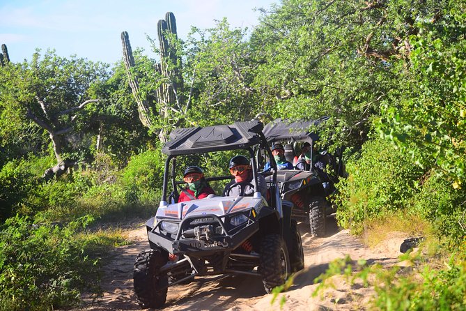 Cabo Migrino Beach & Desert Tour (Triple UTV) - Who Should Choose This Cabo Excursion?