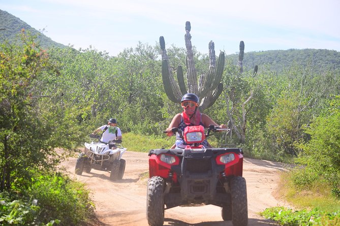 Cabo Original Real Baja 1000 Tour (Single ATV) - Five things to know before you ride