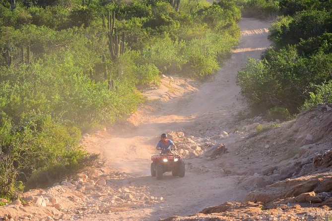 Cabo Original Real Baja 1000 Tour (Single ATV) - Single ATV, safety gear, and physical effort