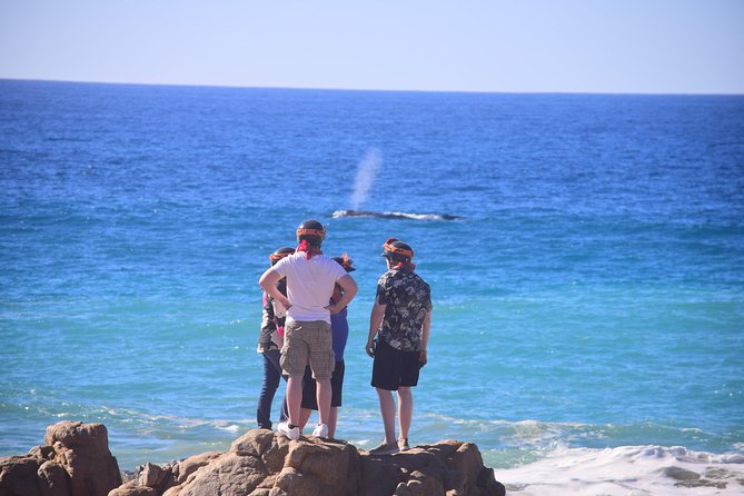 Cabo Original Real Baja 1000 Tour (Single ATV) - Practical ways to have a better ride