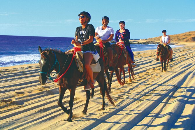 Cabo San Lucas Camel and Horseback Ride with ATV Adventure - Camel encounter and beach riding