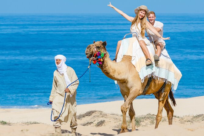 Cabo San Lucas Camel and Horseback Ride with ATV Adventure - Horseback riding beside the shore