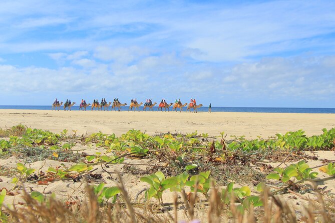 Cabo San Lucas Camel and Horseback Ride with ATV Adventure - Is $175 a fair price?
